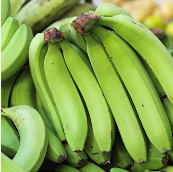 [3739] Plantains Green
