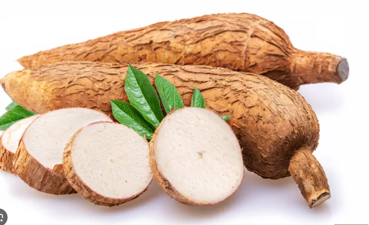 Fresh Cassava