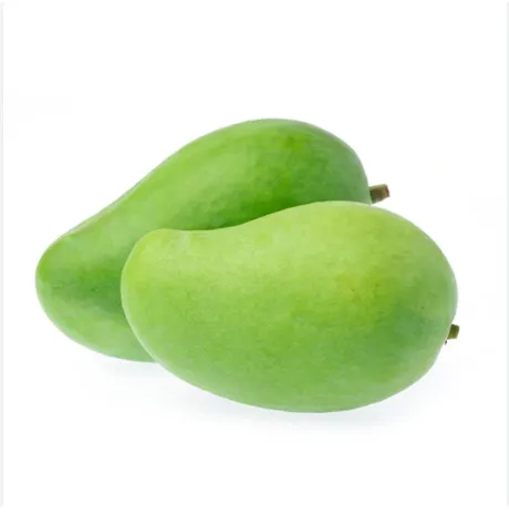[1731] Fresh Green Mangoes