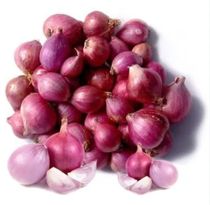 Fresh Red Onions (Indian)