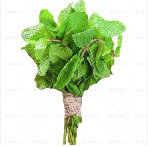 [1754] Fresh Mint per bundle