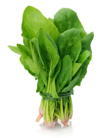 [1777] Fresh Spinach ( Indian ) per bundle
