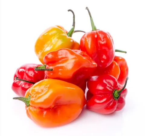 [70] Fresh Habanero