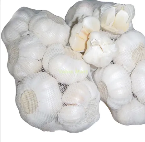[1728] Fresh Garlic 500g