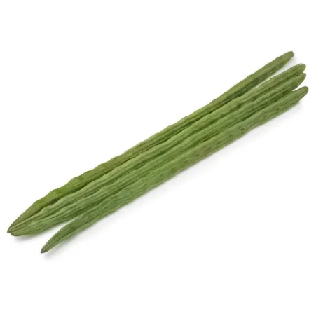 [1723] Fresh Drumsticks Vegetable