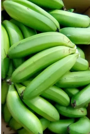 Fresh Matoke (Green Banana)