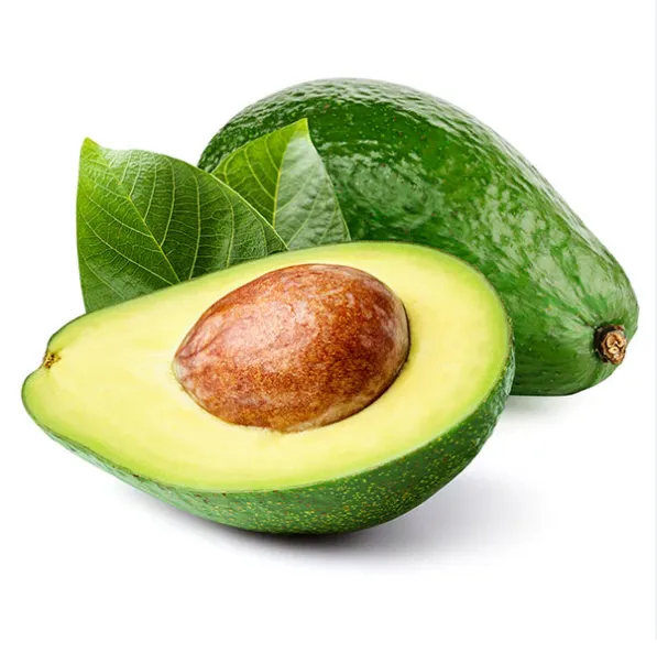Fresh Avocado Uganda