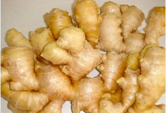 [77] Fresh Ginger ( China )