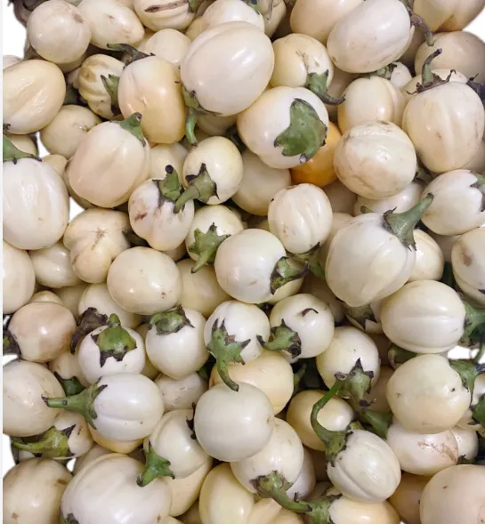 [1726] Fresh Garden Eggs (Ghana)