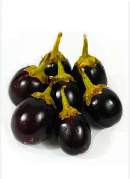 Fresh Round Raviya Indian