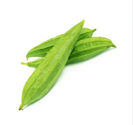 Fresh Turia (India)
