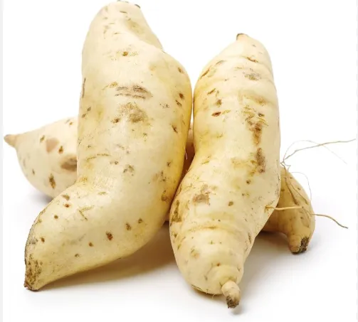 Fresh Sweet Potatoes White Uganda