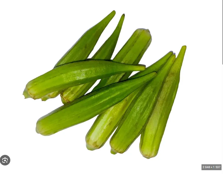 [1755] Fresh Okra Indian