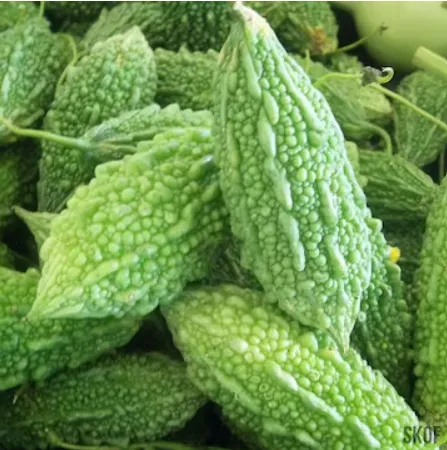 [1741] Fresh Karela Small