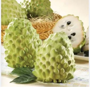 [1719] Fresh Custard Apple (Atemoya)