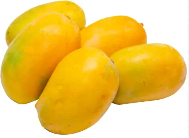 [5982] Fresh Ripe Mangoes per kg