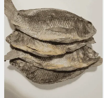 [9887] African Beauty KOBI / Salted Tilapia whole per kg Individually packed