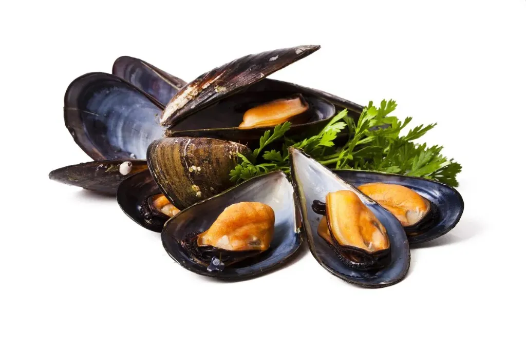 [10399] Dayseaday Whole Cooked Mussels 40/60 1kg
