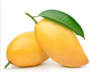 [07765] 4kg Honey Mangoes  (Approx.)case