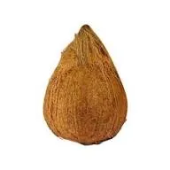 [20174] Fresh Coconut with Tail