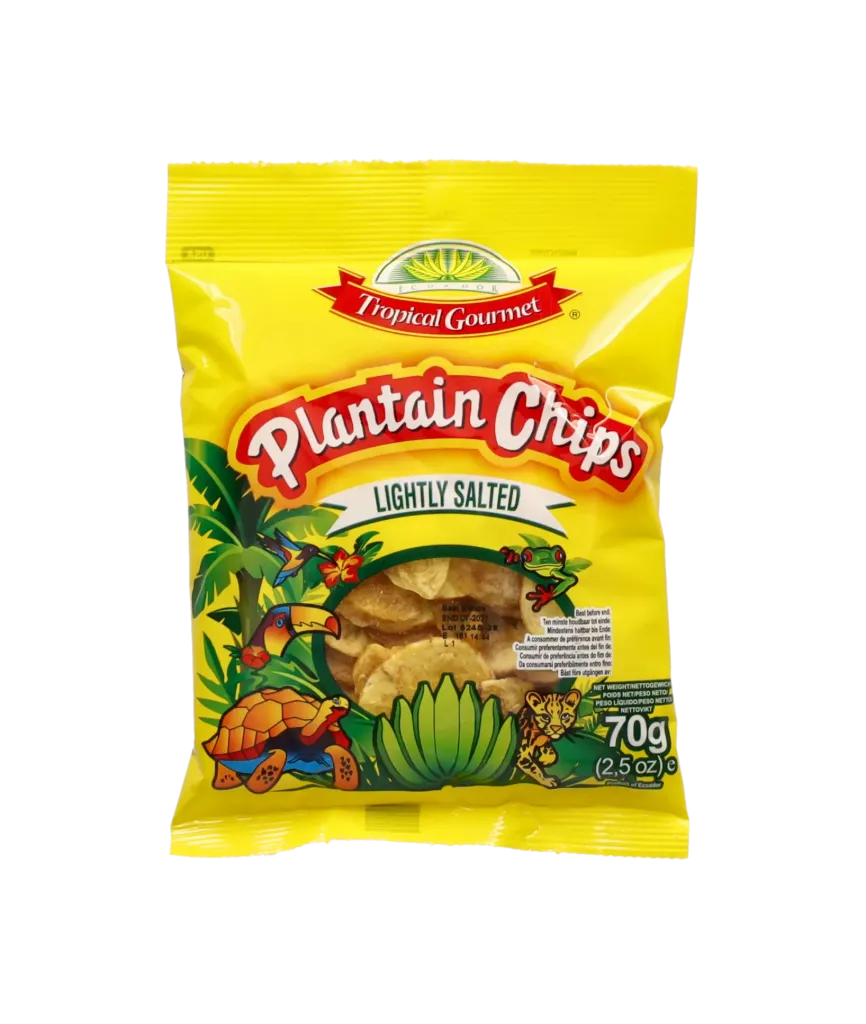 TG Lightly Salted Plantain Chips 70g